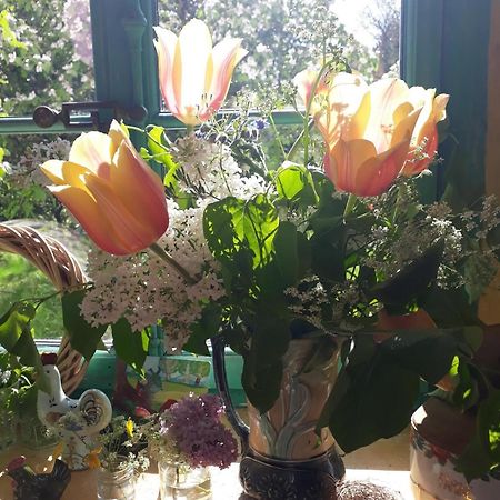아르지에르 Chez Cathy B&B 외부 사진