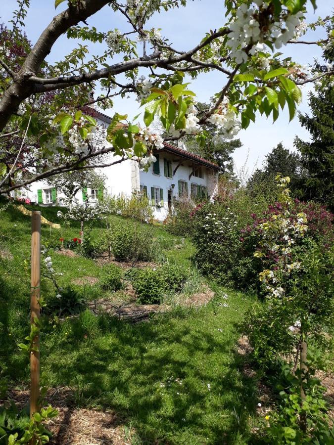 아르지에르 Chez Cathy B&B 외부 사진