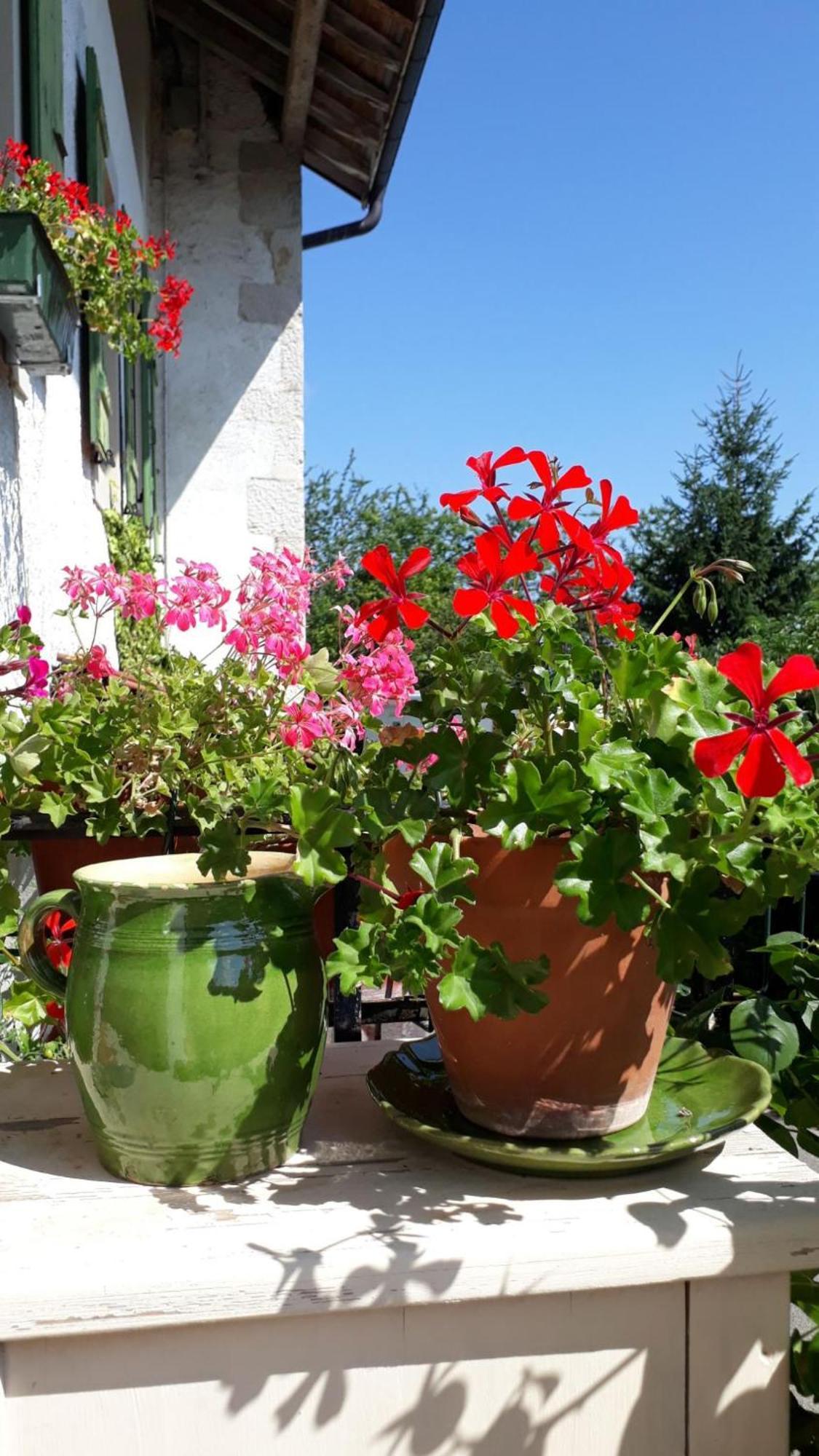 아르지에르 Chez Cathy B&B 외부 사진